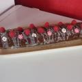 Bûche choco framboise