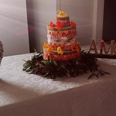 wedding cake nude